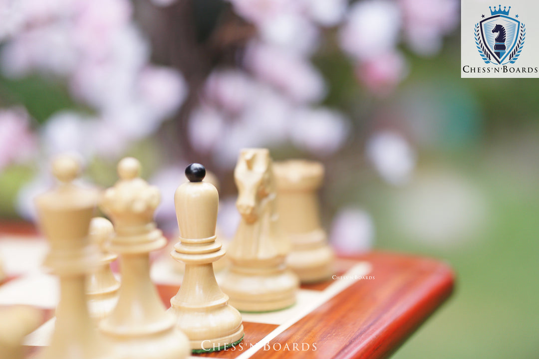 Combo Chess Set | Padauk Chess Board with New 1950 Dubrovnik Bobby Fischer Reproduced Chess Pieces - Chess'n'Boards